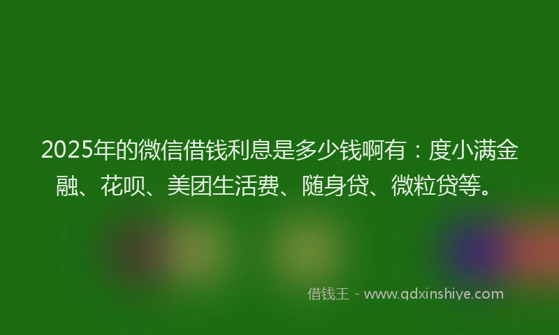 2025年的微信借钱利息是多少钱啊有：度小满金融、花呗、美团生活费、随身贷、微粒贷等。