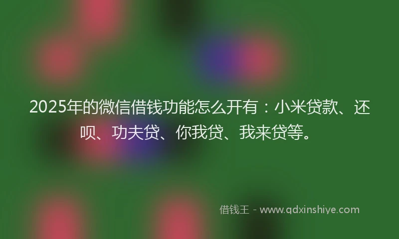 2025年的微信借钱功能怎么开有：小米贷款、还呗、功夫贷、你我贷、我来贷等。