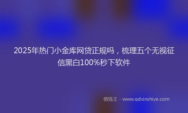 2025年热门小金库网贷正规吗，梳理五个无视征信黑白100%秒下软件