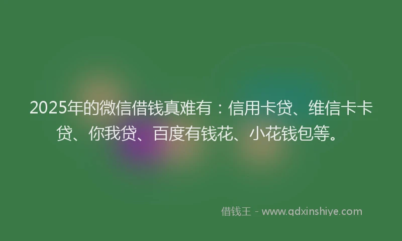 2025年的微信借钱真难有：信用卡贷、维信卡卡贷、你我贷、百度有钱花、小花钱包等。