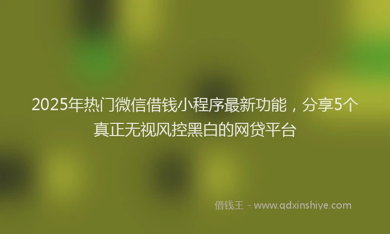 2025年热门微信借钱小程序最新功能，分享5个真正无视风控黑白的网贷平台