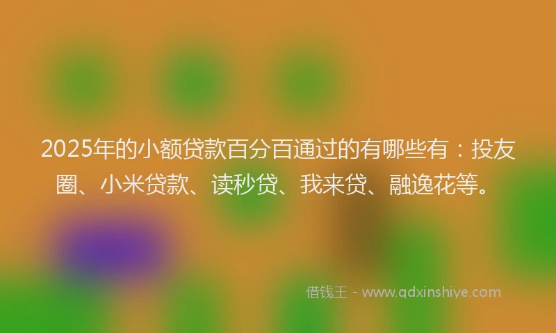 2025年的小额贷款百分百通过的有哪些有：投友圈、小米贷款、读秒贷、我来贷、融逸花等。