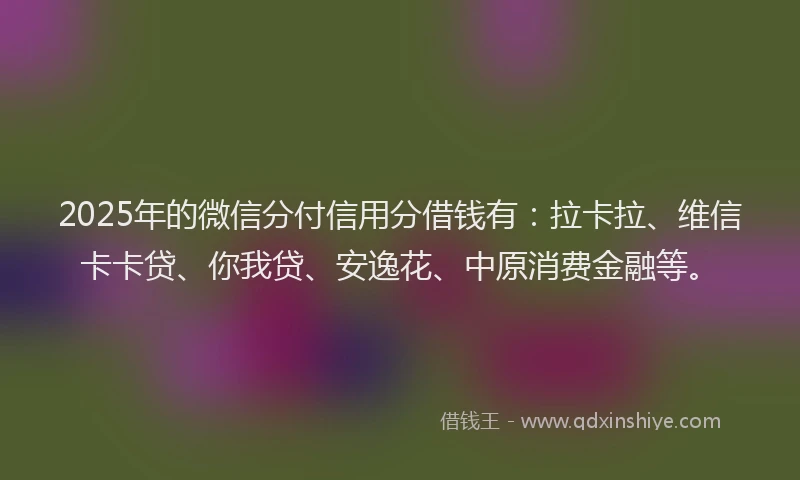 2025年的微信分付信用分借钱有：拉卡拉、维信卡卡贷、你我贷、安逸花、中原消费金融等。