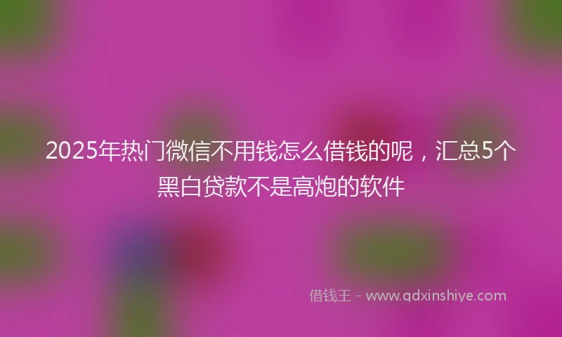 2025年热门微信不用钱怎么借钱的呢，汇总5个黑白贷款不是高炮的软件