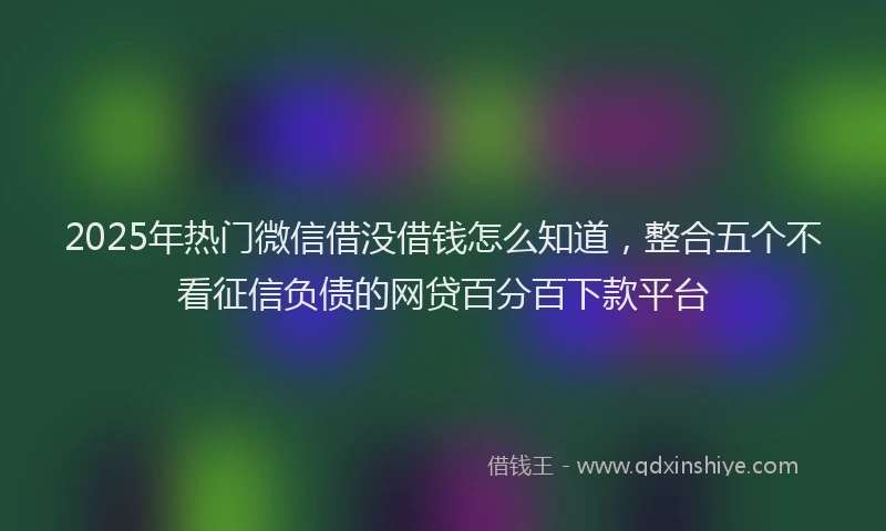 2025年热门微信借没借钱怎么知道，整合五个不看征信负债的网贷百分百下款平台