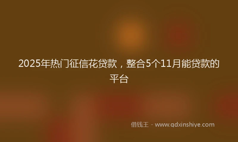 2025年热门征信花贷款，整合5个11月能贷款的平台