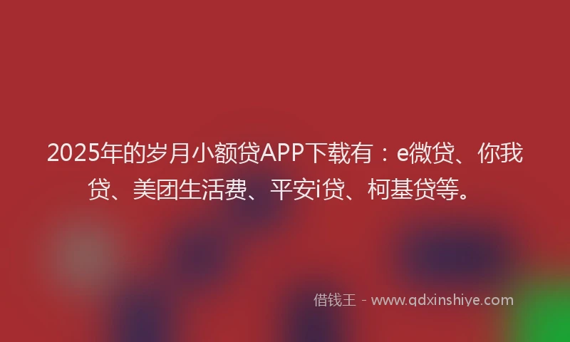 2025年的岁月小额贷APP下载有：e微贷、你我贷、美团生活费、平安i贷、柯基贷等。
