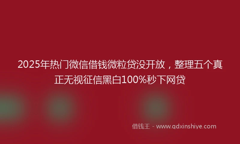 2025年热门微信借钱微粒贷没开放，整理五个真正无视征信黑白100%秒下网贷