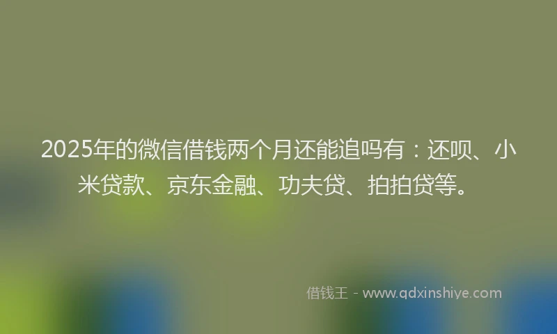 2025年的微信借钱两个月还能追吗有：还呗、小米贷款、京东金融、功夫贷、拍拍贷等。