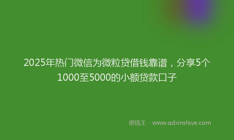 2025年热门微信为微粒贷借钱靠谱，分享5个1000至5000的小额贷款口子