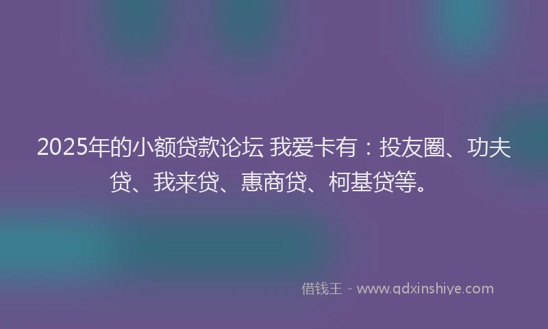 2025年的小额贷款论坛 我爱卡有：投友圈、功夫贷、我来贷、惠商贷、柯基贷等。