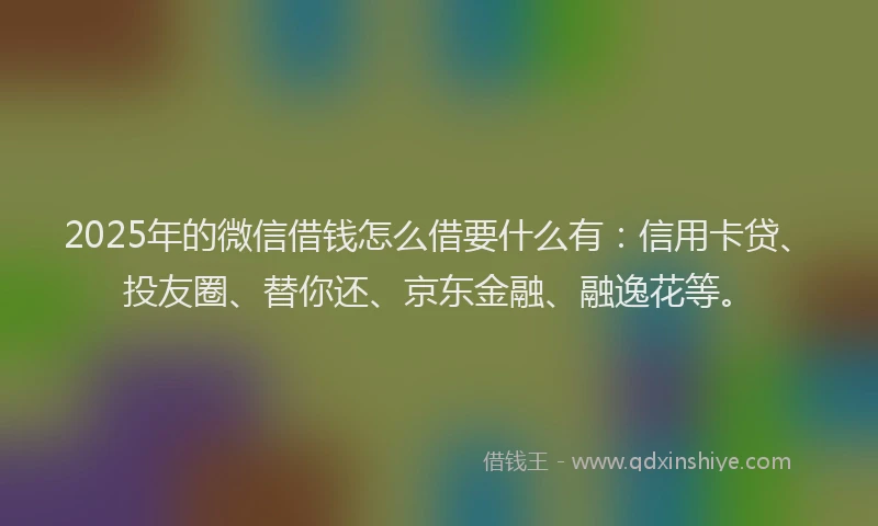 2025年的微信借钱怎么借要什么有：信用卡贷、投友圈、替你还、京东金融、融逸花等。