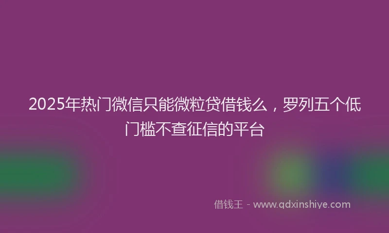 2025年热门微信只能微粒贷借钱么，罗列五个低门槛不查征信的平台
