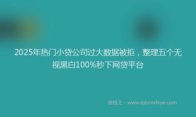 2025年热门小贷公司过大数据被拒，整理五个无视黑白100%秒下网贷平台