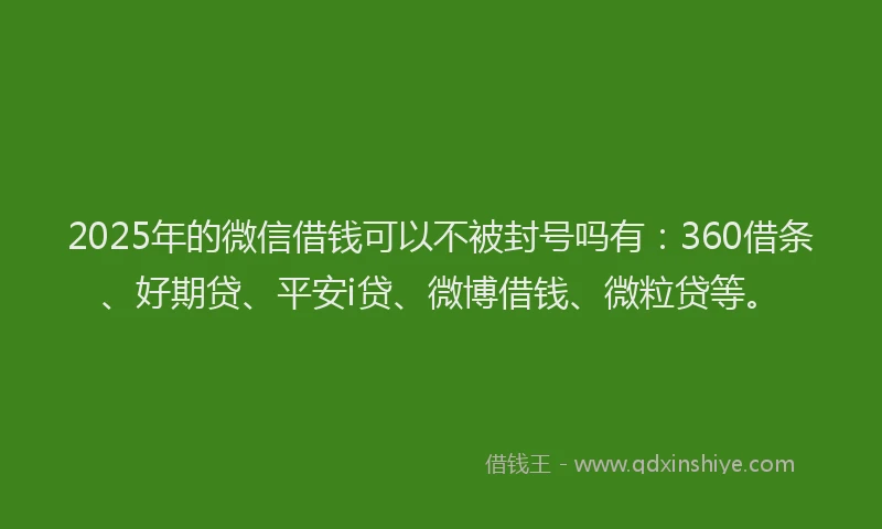 2025年的微信借钱可以不被封号吗有：360借条、好期贷、平安i贷、微博借钱、微粒贷等。