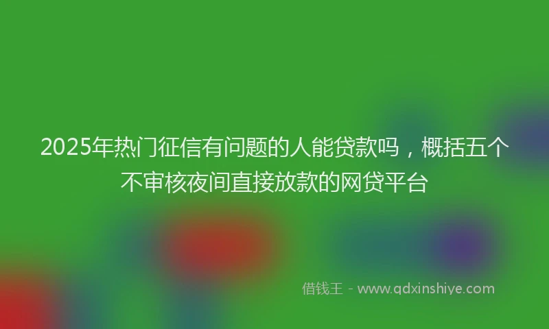 2025年热门征信有问题的人能贷款吗，概括五个不审核夜间直接放款的网贷平台