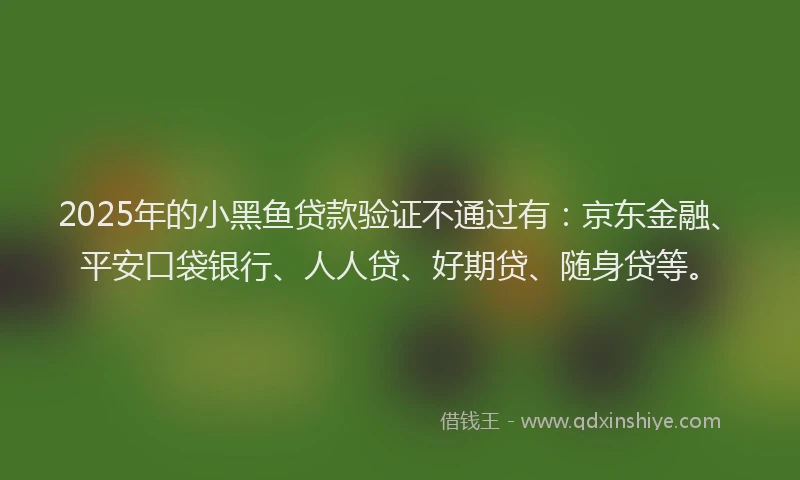 2025年的小黑鱼贷款验证不通过有：京东金融、平安口袋银行、人人贷、好期贷、随身贷等。