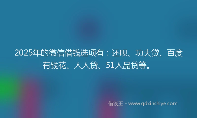 2025年的微信借钱选项有：还呗、功夫贷、百度有钱花、人人贷、51人品贷等。