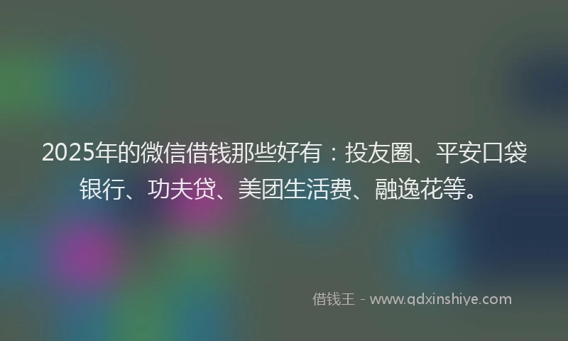 2025年的微信借钱那些好有：投友圈、平安口袋银行、功夫贷、美团生活费、融逸花等。