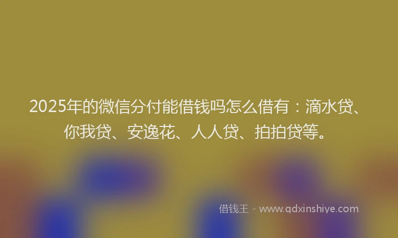2025年的微信分付能借钱吗怎么借有：滴水贷、你我贷、安逸花、人人贷、拍拍贷等。