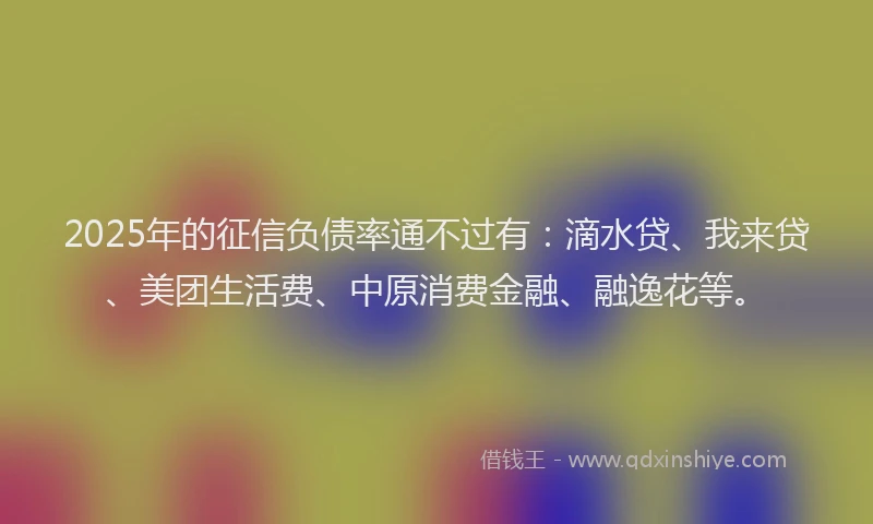 2025年的征信负债率通不过有：滴水贷、我来贷、美团生活费、中原消费金融、融逸花等。