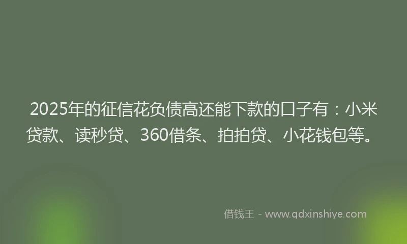2025年的征信花负债高还能下款的口子有:小米贷款、读秒贷、360借条、拍拍贷、小花钱包等。