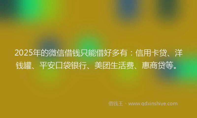 2025年的微信借钱只能借好多有：信用卡贷、洋钱罐、平安口袋银行、美团生活费、惠商贷等。