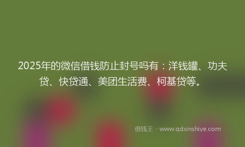 2025年的微信借钱防止封号吗有：洋钱罐、功夫贷、快贷通、美团生活费、柯基贷等。