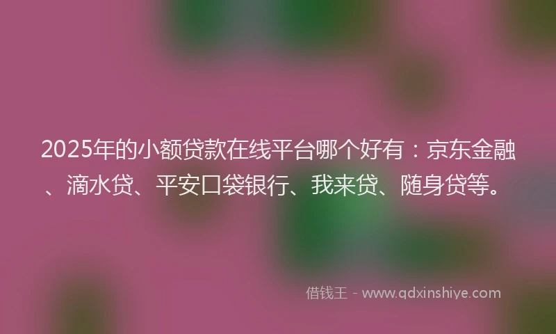 2025年的小额贷款在线平台哪个好有：京东金融、滴水贷、平安口袋银行、我来贷、随身贷等。