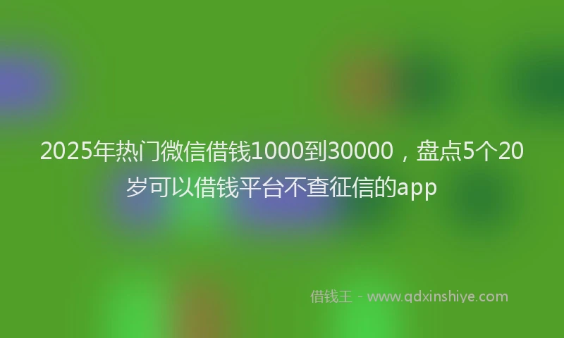 2025年热门微信借钱1000到30000，盘点5个20岁可以借钱平台不查征信的app