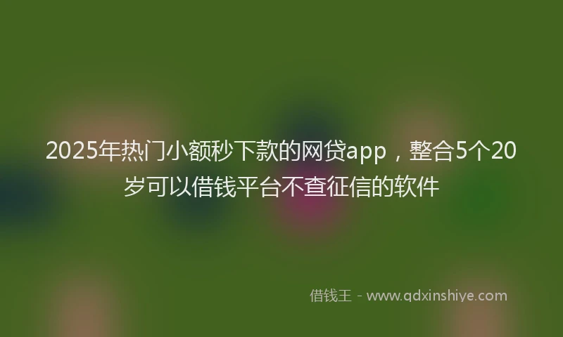 2025年热门小额秒下款的网贷app，整合5个20岁可以借钱平台不查征信的软件