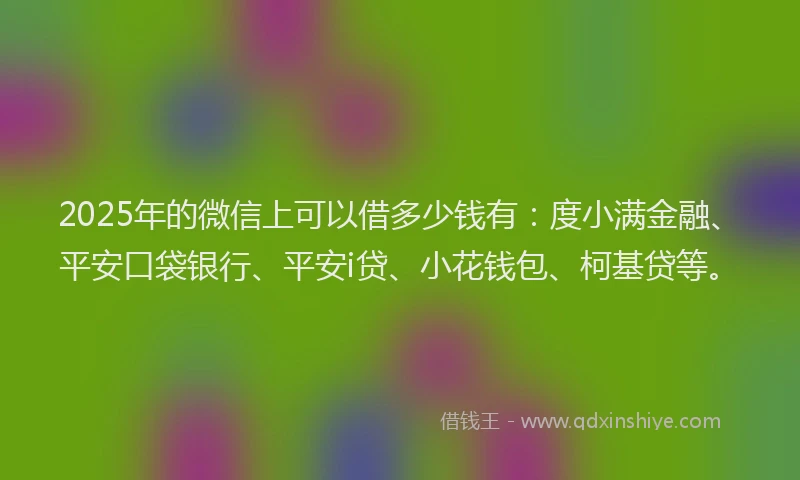 2025年的微信上可以借多少钱有：度小满金融、平安口袋银行、平安i贷、小花钱包、柯基贷等。