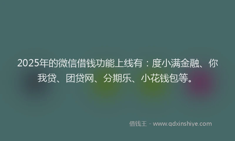 2025年的微信借钱功能上线有：度小满金融、你我贷、团贷网、分期乐、小花钱包等。