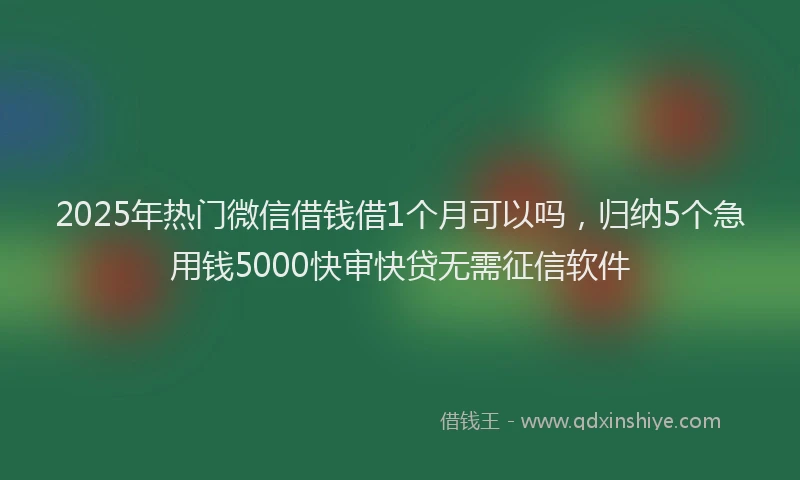 2025年热门微信借钱借1个月可以吗，归纳5个急用钱5000快审快贷无需征信软件