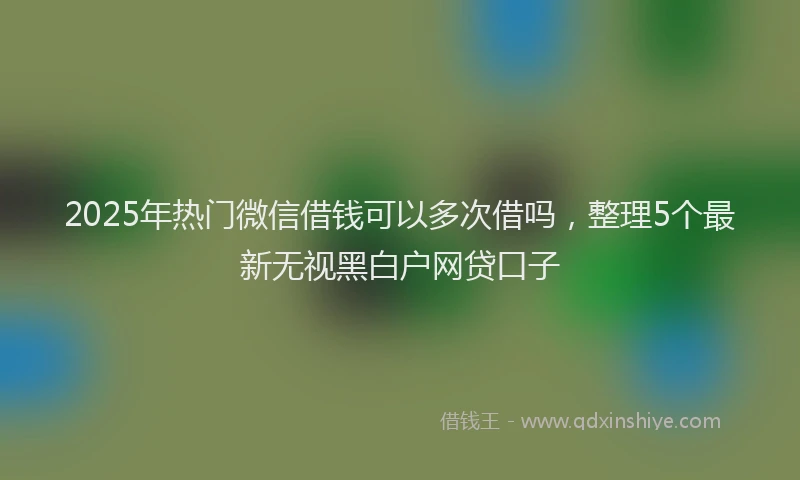 2025年热门微信借钱可以多次借吗，整理5个最新无视黑白户网贷口子