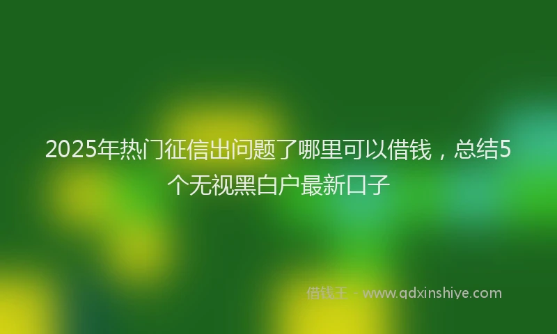 2025年热门征信出问题了哪里可以借钱，总结5个无视黑白户最新口子