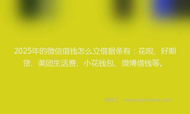2025年的微信借钱怎么立借据条有：花呗、好期贷、美团生活费、小花钱包、微博借钱等。