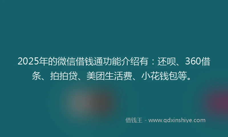 2025年的微信借钱通功能介绍有：还呗、360借条、拍拍贷、美团生活费、小花钱包等。