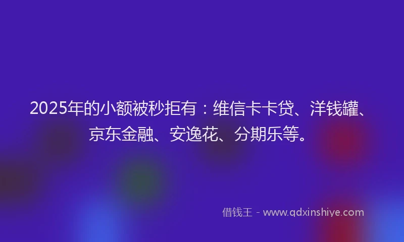 2025年的小额被秒拒有：维信卡卡贷、洋钱罐、京东金融、安逸花、分期乐等。