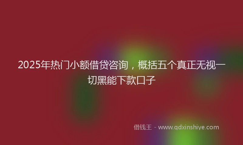 2025年热门小额借贷咨询，概括五个真正无视一切黑能下款口子