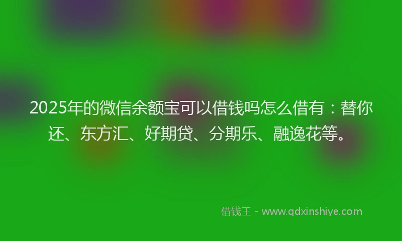 2025年的微信余额宝可以借钱吗怎么借有：替你还、东方汇、好期贷、分期乐、融逸花等。