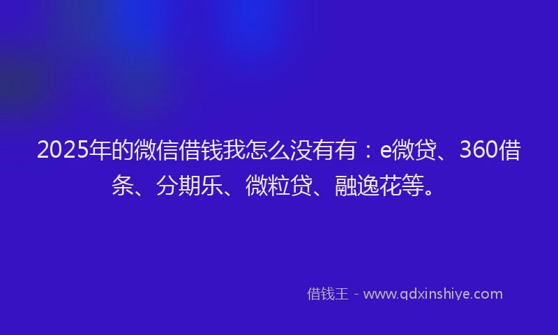 2025年的微信借钱我怎么没有有：e微贷、360借条、分期乐、微粒贷、融逸花等。