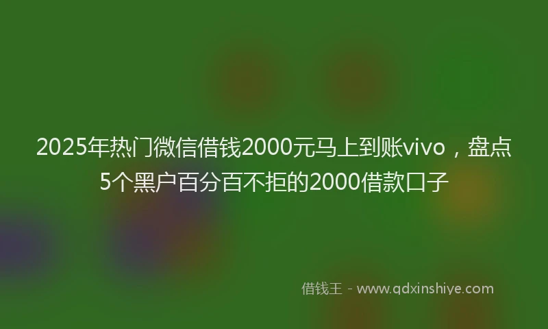 2025年热门微信借钱2000元马上到账vivo，盘点5个黑户百分百不拒的2000借款口子