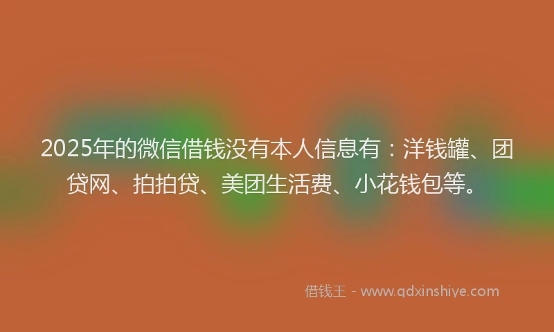 2025年的微信借钱没有本人信息有：洋钱罐、团贷网、拍拍贷、美团生活费、小花钱包等。