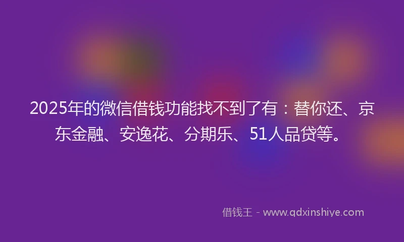 2025年的微信借钱功能找不到了有：替你还、京东金融、安逸花、分期乐、51人品贷等。