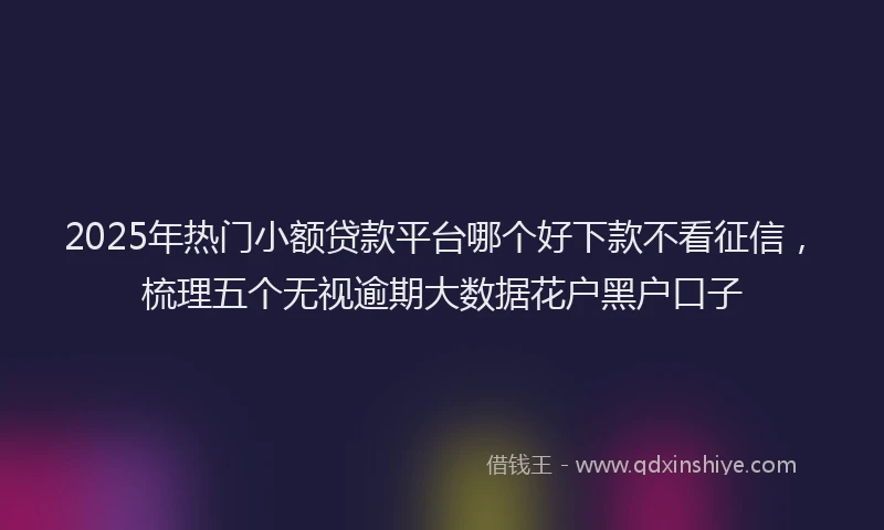 2025年热门小额贷款平台哪个好下款不看征信，梳理五个无视逾期大数据花户黑户口子
