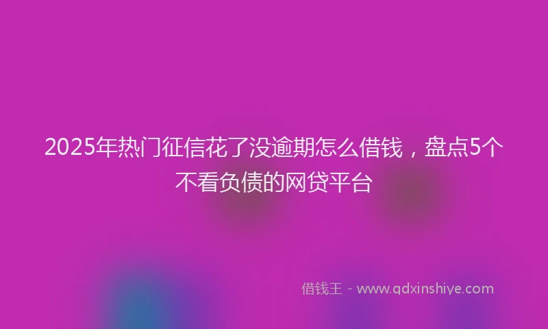 2025年热门征信花了没逾期怎么借钱，盘点5个不看负债的网贷平台