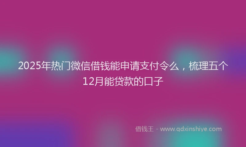 2025年热门微信借钱能申请支付令么，梳理五个12月能贷款的口子