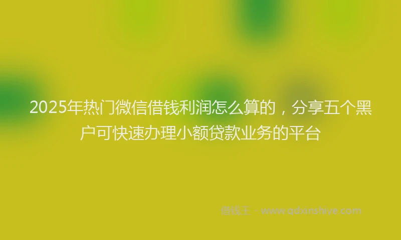 2025年热门微信借钱利润怎么算的，分享五个黑户可快速办理小额贷款业务的平台