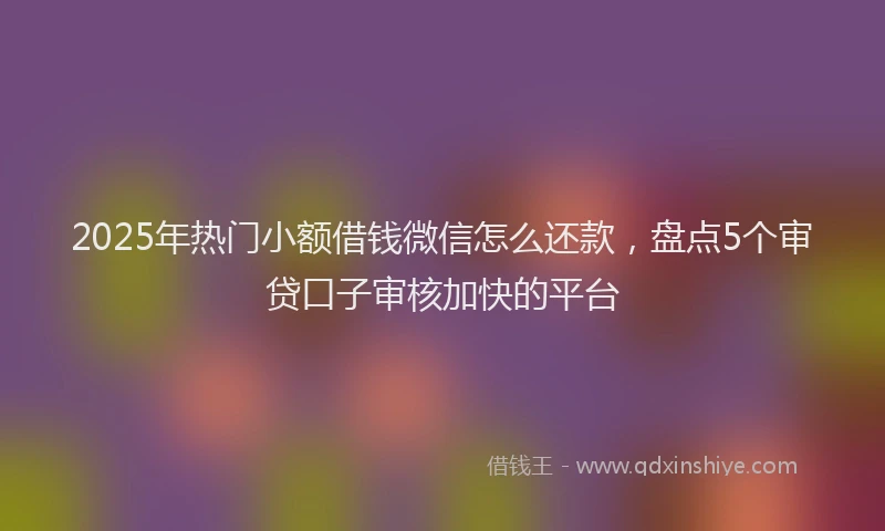 2025年热门小额借钱微信怎么还款，盘点5个审贷口子审核加快的平台